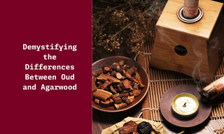 Demystifying the Differences Between Oud and Agarwood